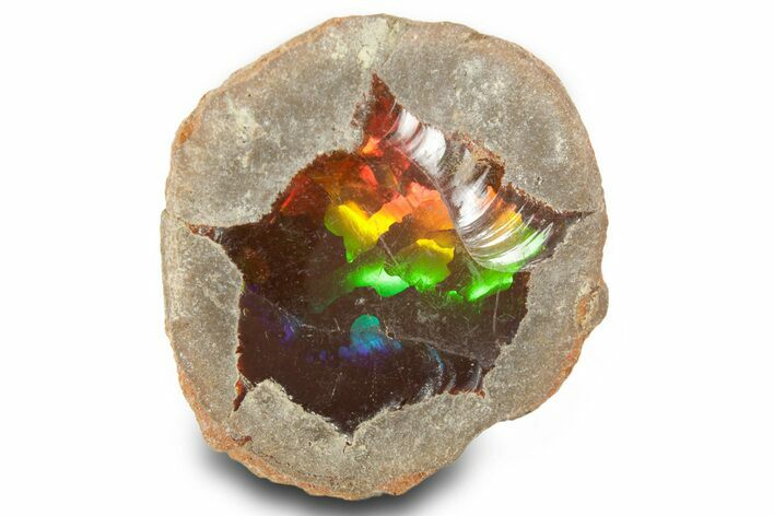 Ethiopian Chocolate Opal Nodule - Yita Ridge #367231
